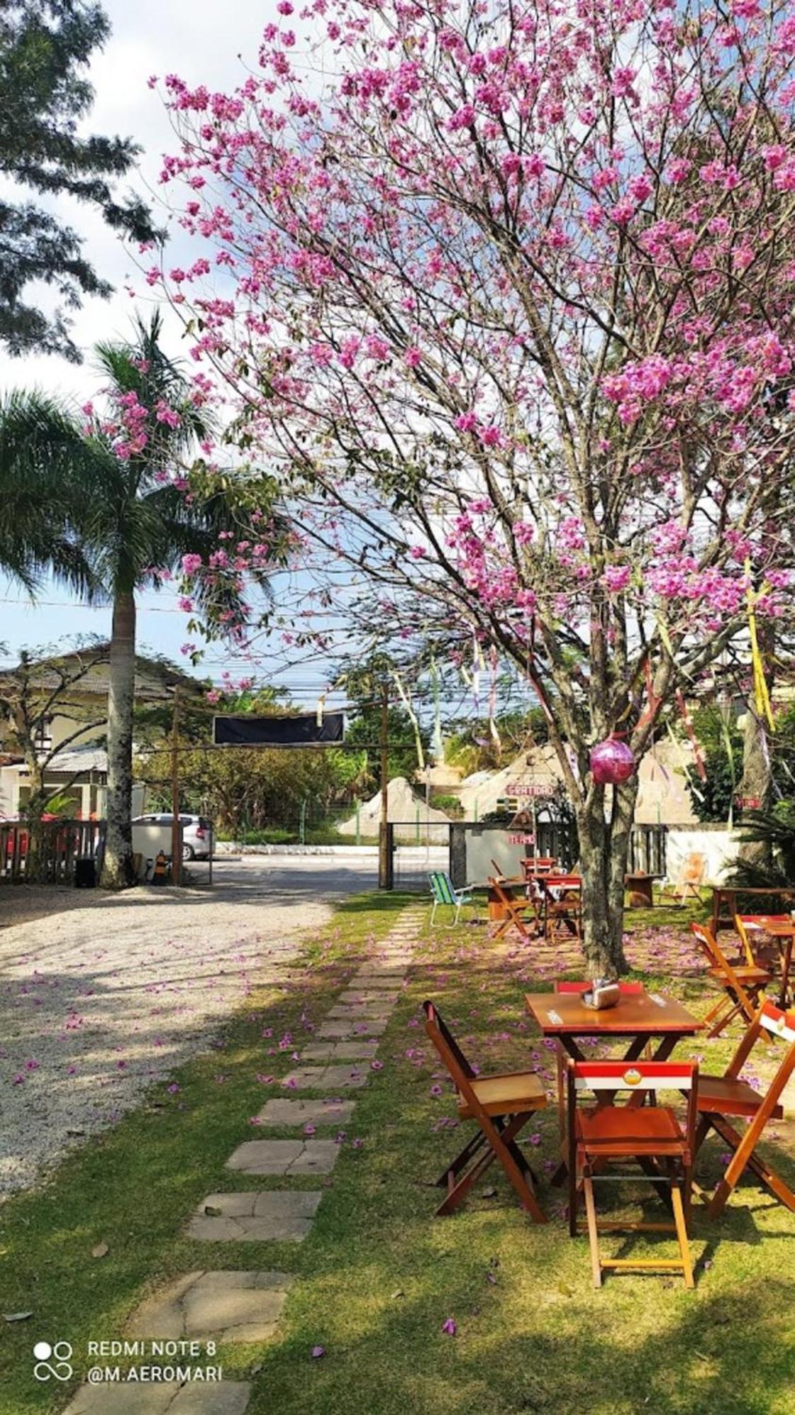 Nomades Vibe Da Ilha - Adventure Hostels & Coworking Florianópolis Exteriér fotografie